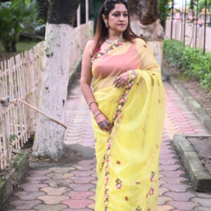 Saree 2